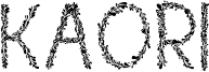 Kaori Font
