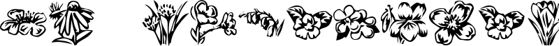 KR Beautiful Flowers 2.ttf