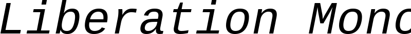 LiberationMono-Italic.ttf