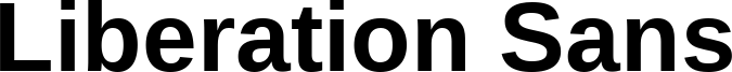LiberationSans-Bold.ttf