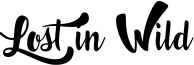 Lost in Wild Font