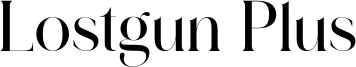 LostgunPlus dafont.otf