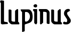Lupinus Font