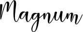 magnum.ttf