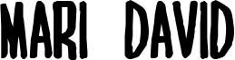 MARI&DAVID BOLD.ttf