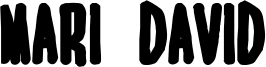 MARI&DAVID EXTRABOLD.ttf