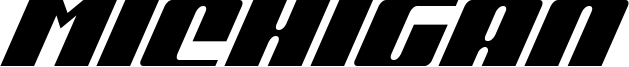 michigancondsuperital.ttf