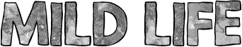 Mild Life Font