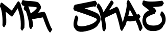 Mr Skae Font