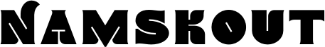 Namskin.otf