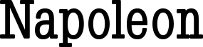 Napoleon-Bold.ttf