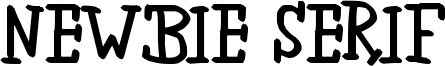 Newbie Serif Font