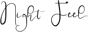 Night Feel Font