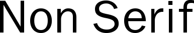 Non Serif Font