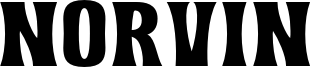 Norvin Demo.otf