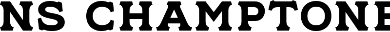 NS Champtone Serif Font