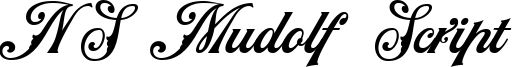 NS Mudolf Script Font