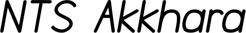NTSAkkhara-BoldItalic.ttf