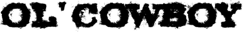 Ol' Cowboy Font