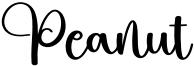 Peanut Font