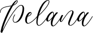 Pelana personal use only.otf