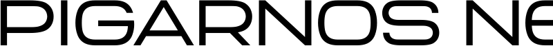 PIGARNOS NEUE Regular.ttf