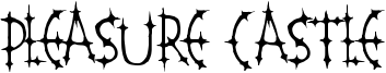 PleasureCastleStandard.ttf