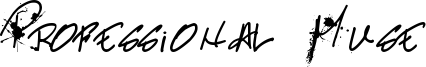 Professional Muse Font