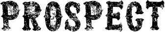 Prospect Font