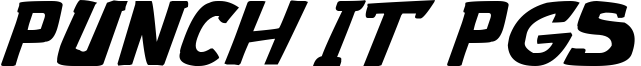 punch it PGS Bold Italic.ttf
