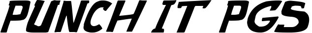 punch it PGS Italic.ttf