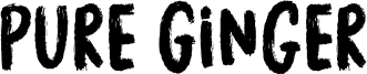 Pure Ginger Font