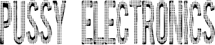 Pussy Electronics Font