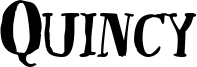 QUINB___.TTF