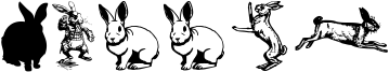 Rabbit Font