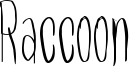 Raccoon Font