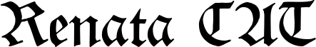 Renata CAT Font