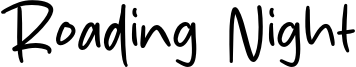 Roading Night Font
