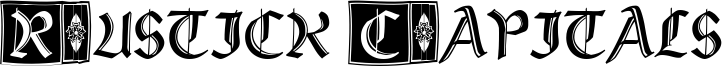 Rustick Capitals Font