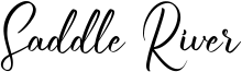 Saddle River Font