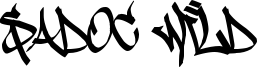 Sadoc Wild Font