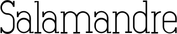 Salamandre Font
