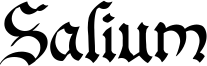 Salium Font