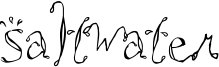Saltwater Font