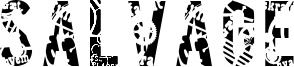 Salvage Font