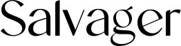 Salvager Font