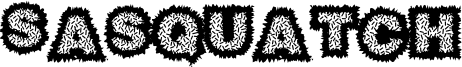 Sasquatch.ttf