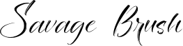 Savage Brush Font