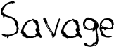 Savage.ttf