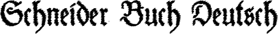 Schneider Buch Deutsch Trash Free.otf